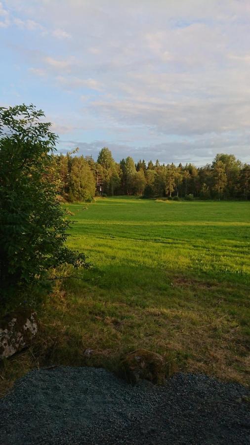 Liten Enklare Klimatsmart Stuga I Roslagen Östhammar Exterior foto